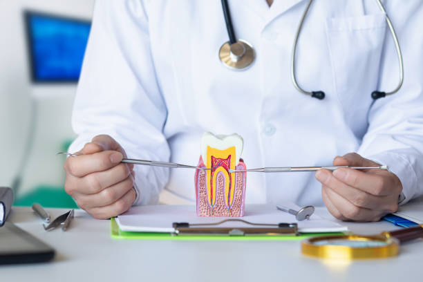 Best Emergency Tooth Extraction in Ilco, WA